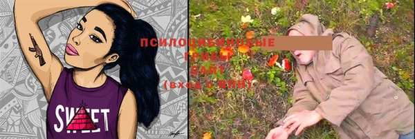 мяу мяу мука Бородино