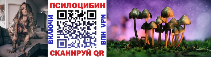 Купить закладки  Старый Оскол  Галлюциногенные грибы мицелий 